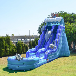 Dolphin Slide
